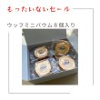 画像1: 【フードロス削減】賞味期限10/19までのため特別割引！ウッフミニバウム８個入（送料込み） (1)