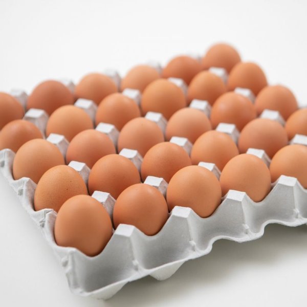画像1: 【養鶏場産直商品】こだわり家族のこだわり卵30個入り【5/1より価格改定】 (1)