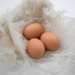画像2: 【養鶏場産直商品】こだわり家族のこだわり卵30個入り (2)