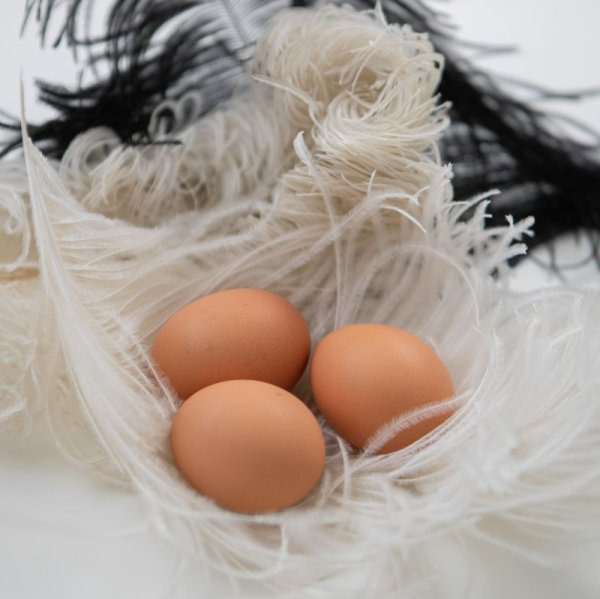 画像2: 【養鶏場産直商品】こだわり家族のこだわり卵60個入り (2)